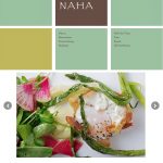 Naha-chicago.com - Mobile responsive version