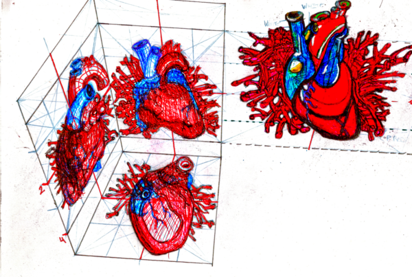 ♡ – orthographic views